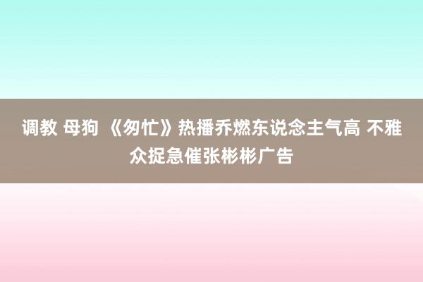 调教 母狗 《匆忙》热播乔燃东说念主气高 不雅众捉急催张彬彬广告